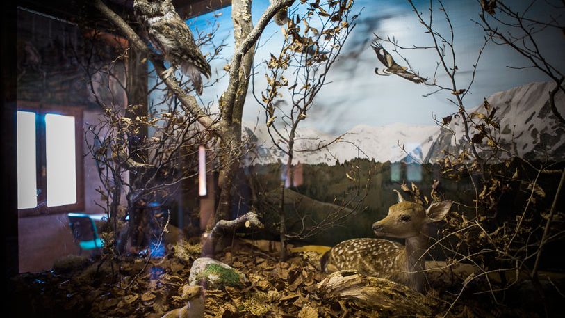 ecologico-3-fotoRobertaDeMin_813x552