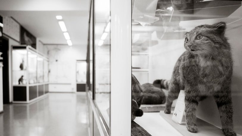 storia-naturale-3-fotoRobertaDeMin_813x552